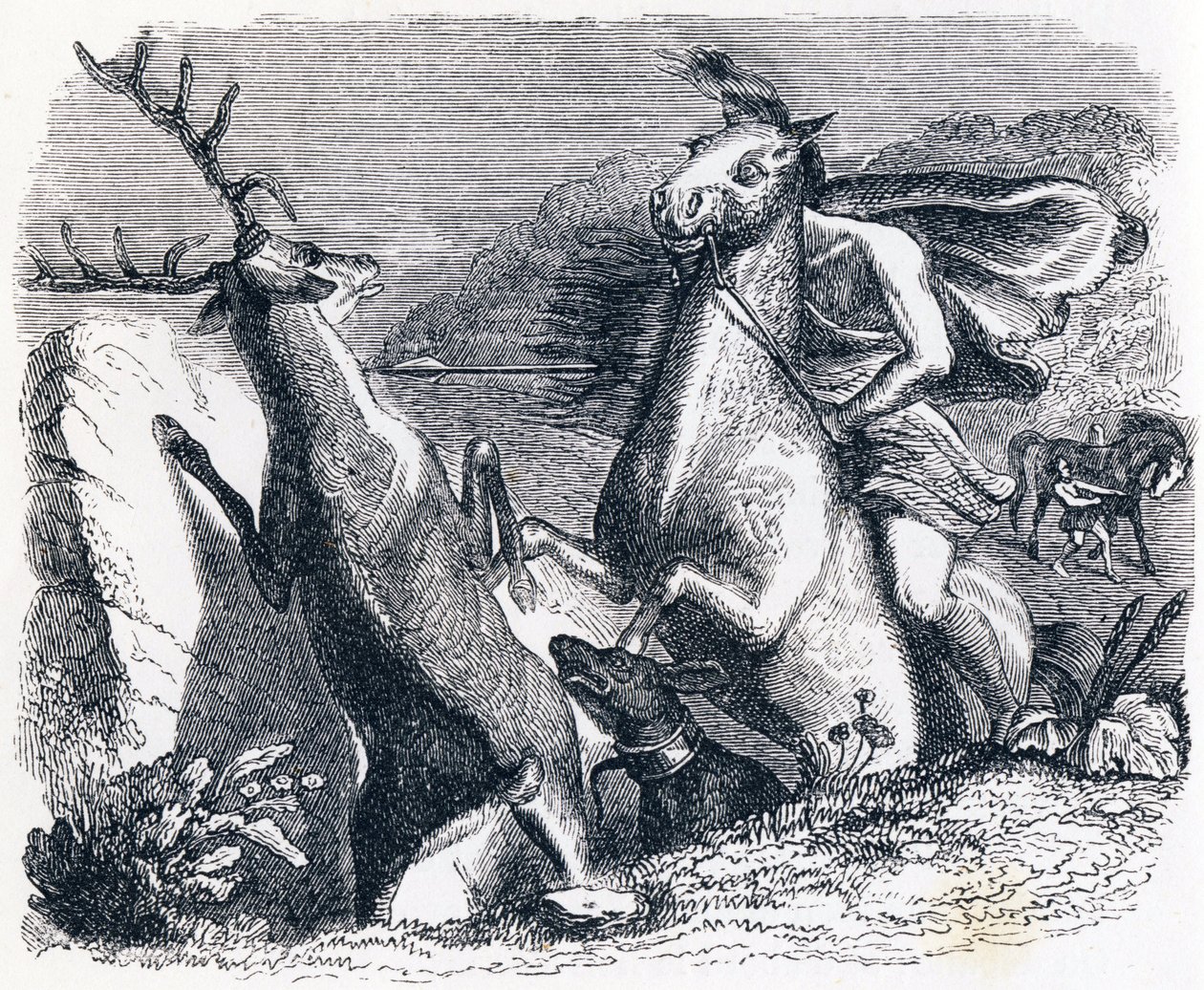 马要为鹿报仇(Le cheval s