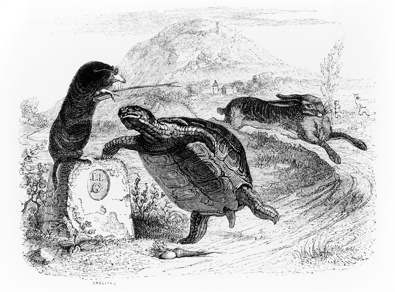 野兔和乌龟，La Fontaine的“寓言”插图，由H. Fournier Aine出版，1838年 作者 格兰维尔