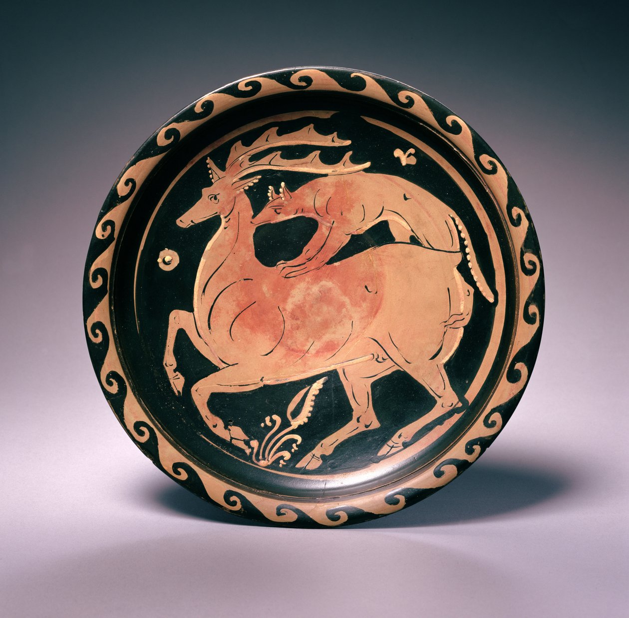 Apulian Red-Figure Dish，归功于Lampas Painter，c.350-325 BC（赤土陶器） 作者 希腊学派