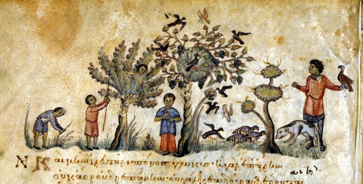 Hunting with falcons to capture birds - in “” De Venatione”” by Oppianus, Greek manuscript from the 13th century. Biblioteca Marciana. Venice 作者 希腊学派