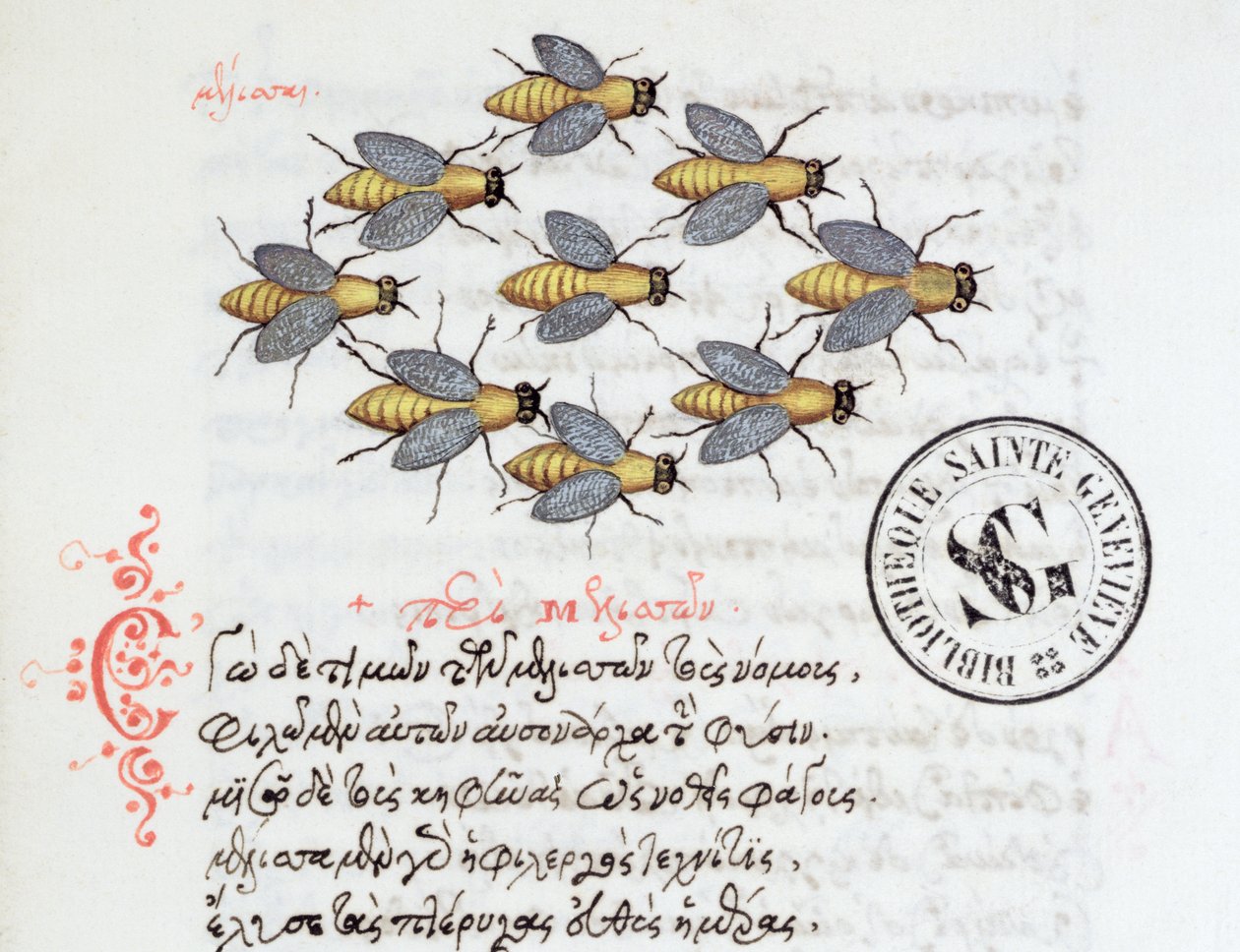 3460 Bees女士，来自Manuel Philes的一个兽人，1566年 作者 希腊学派