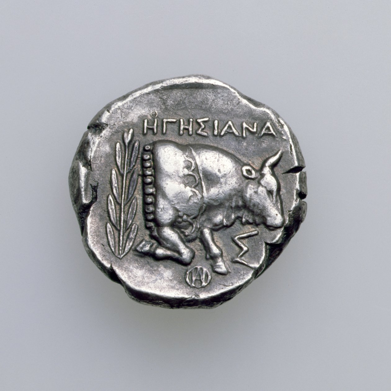 Tosradrachm of Samos，Ionia，描绘公牛，公元前390年（反向）（银色）（正面看168076） 作者 希腊学派
