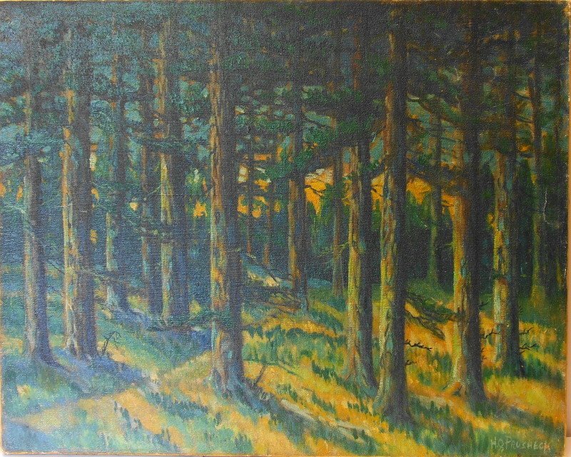 ForestnSlovenscina：Gozdn 作者 格雷戈·佩鲁塞克（Gregor Perusek）
