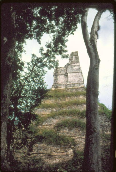 铭文寺，c。 700AD 作者 危地马拉学校
