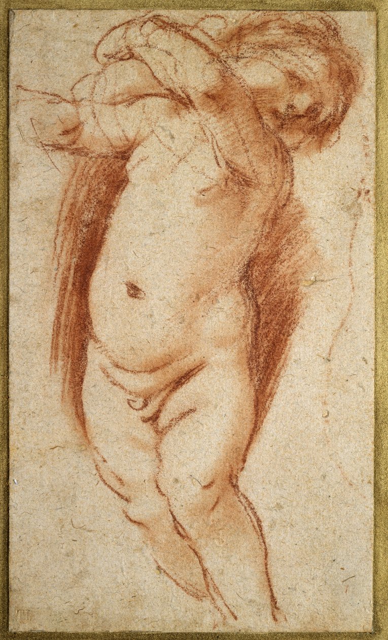 Putto，1620  -  1624（灰色纸上的红色粉笔） 作者 乔瓦尼·弗朗切斯科·巴尔比里（Il Guercino）