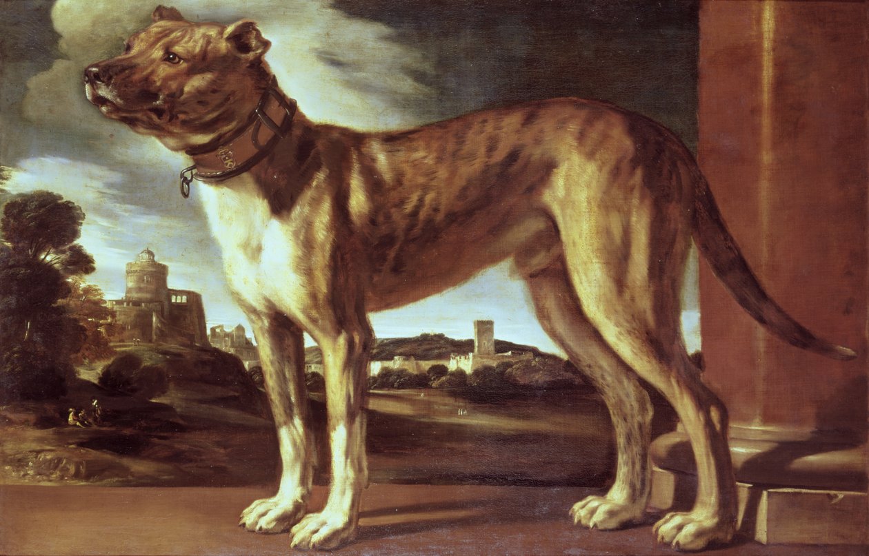 一只狗的画像 作者 乔瓦尼·弗朗切斯科·巴尔比里（Il Guercino）