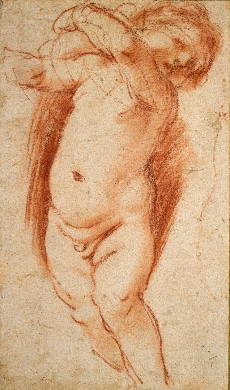 一个普特，1620-1624 作者 格尔奇诺