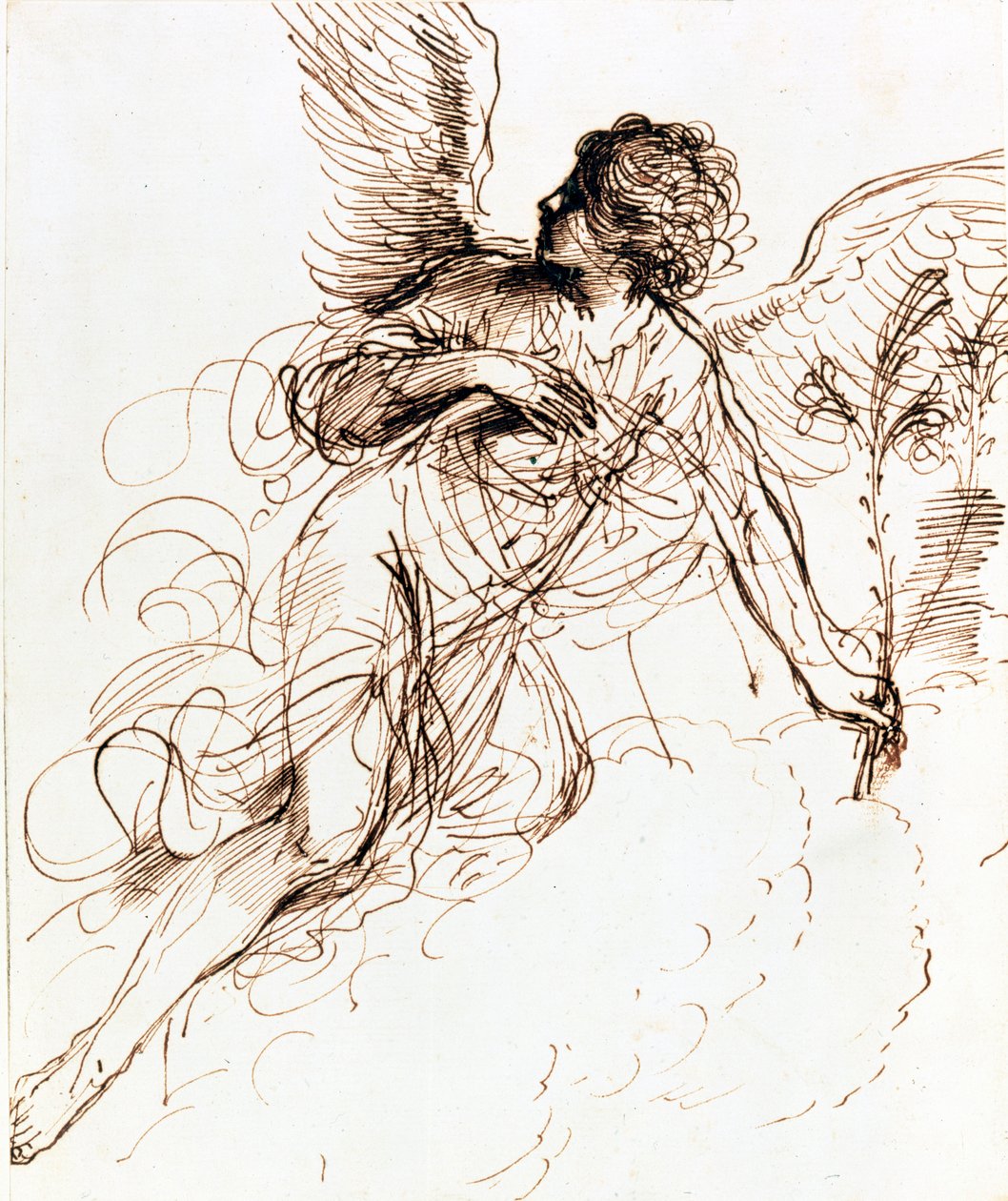 天使研究，c1611-1666 作者 格尔奇诺