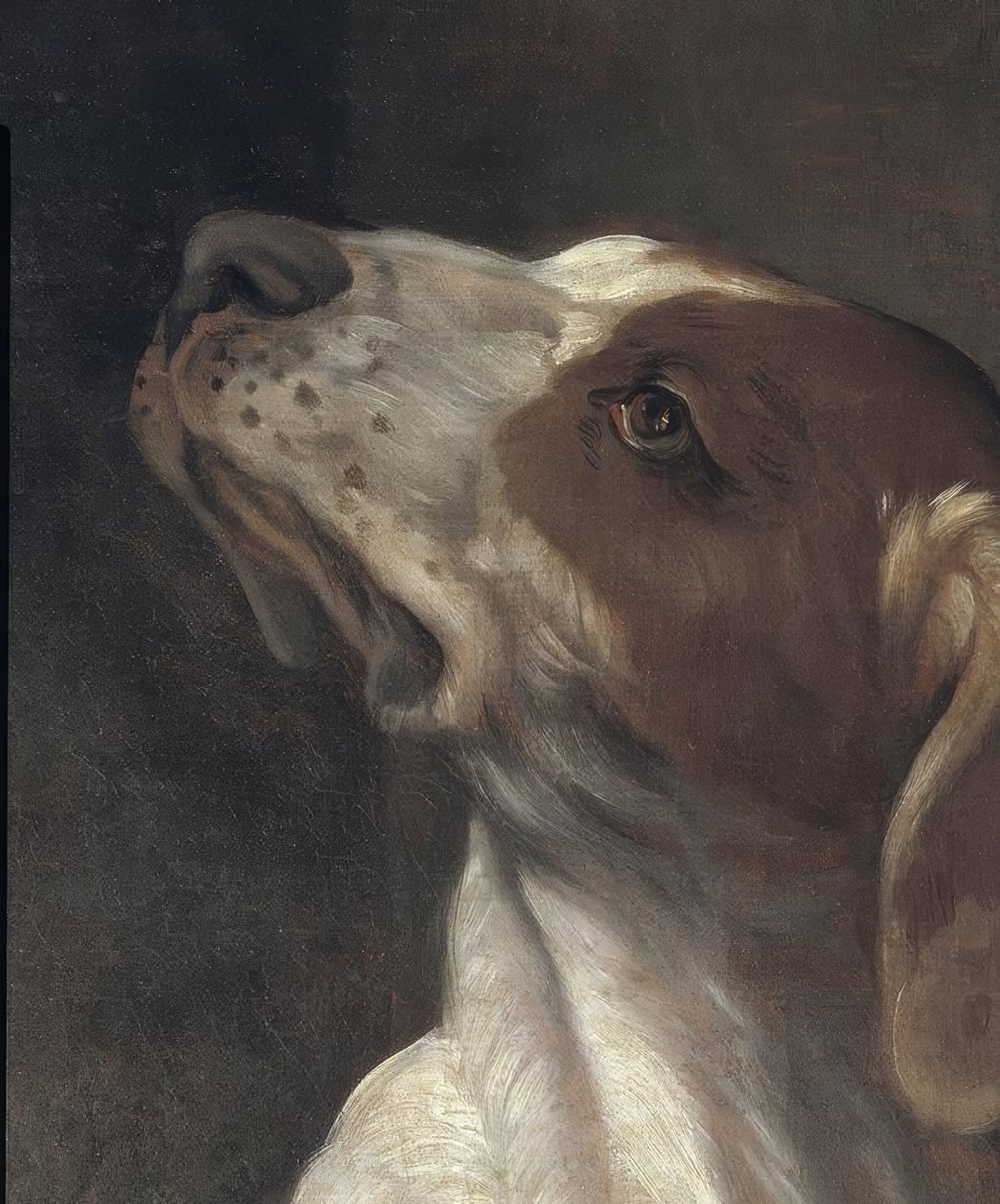 监狱里的圣罗斯（Saint Rochus），由天使指挥 作者 吉多·雷尼（Guido Reni）