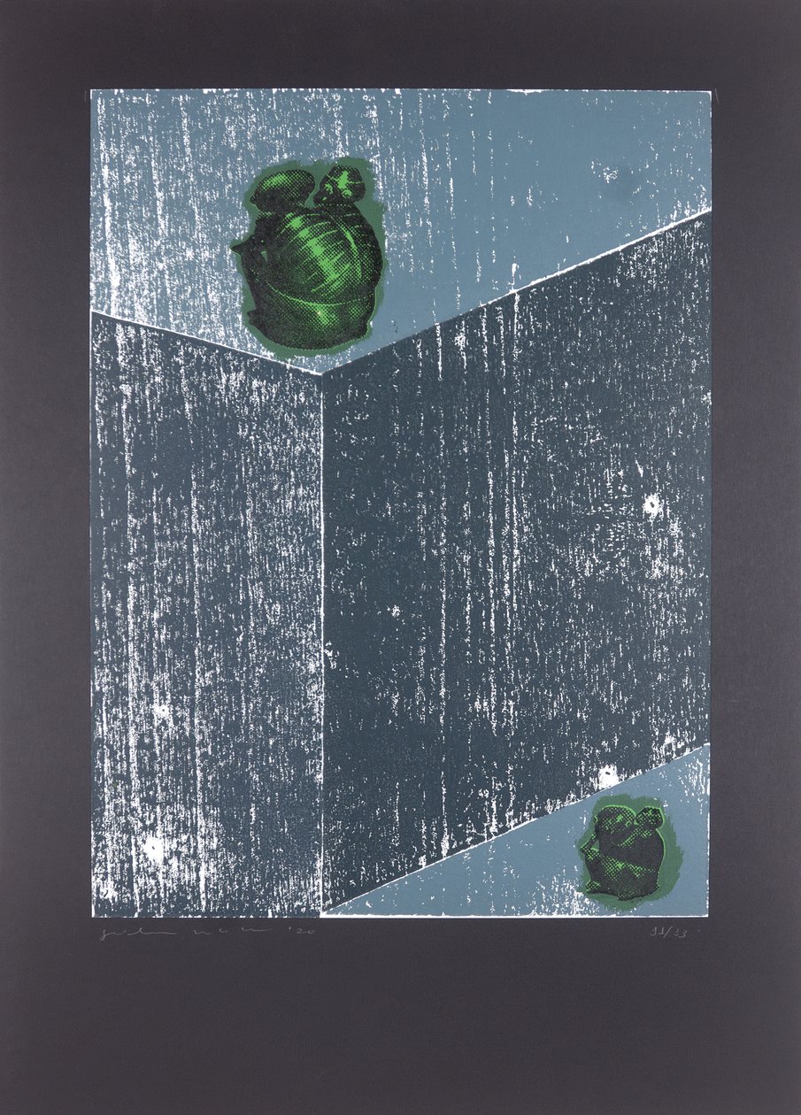 看不见的房间 n°8，我灵魂的梦想，2019（木刻和丝网印刷） 作者 吉尔赫姆·庞特斯（Guilherme Pontes）