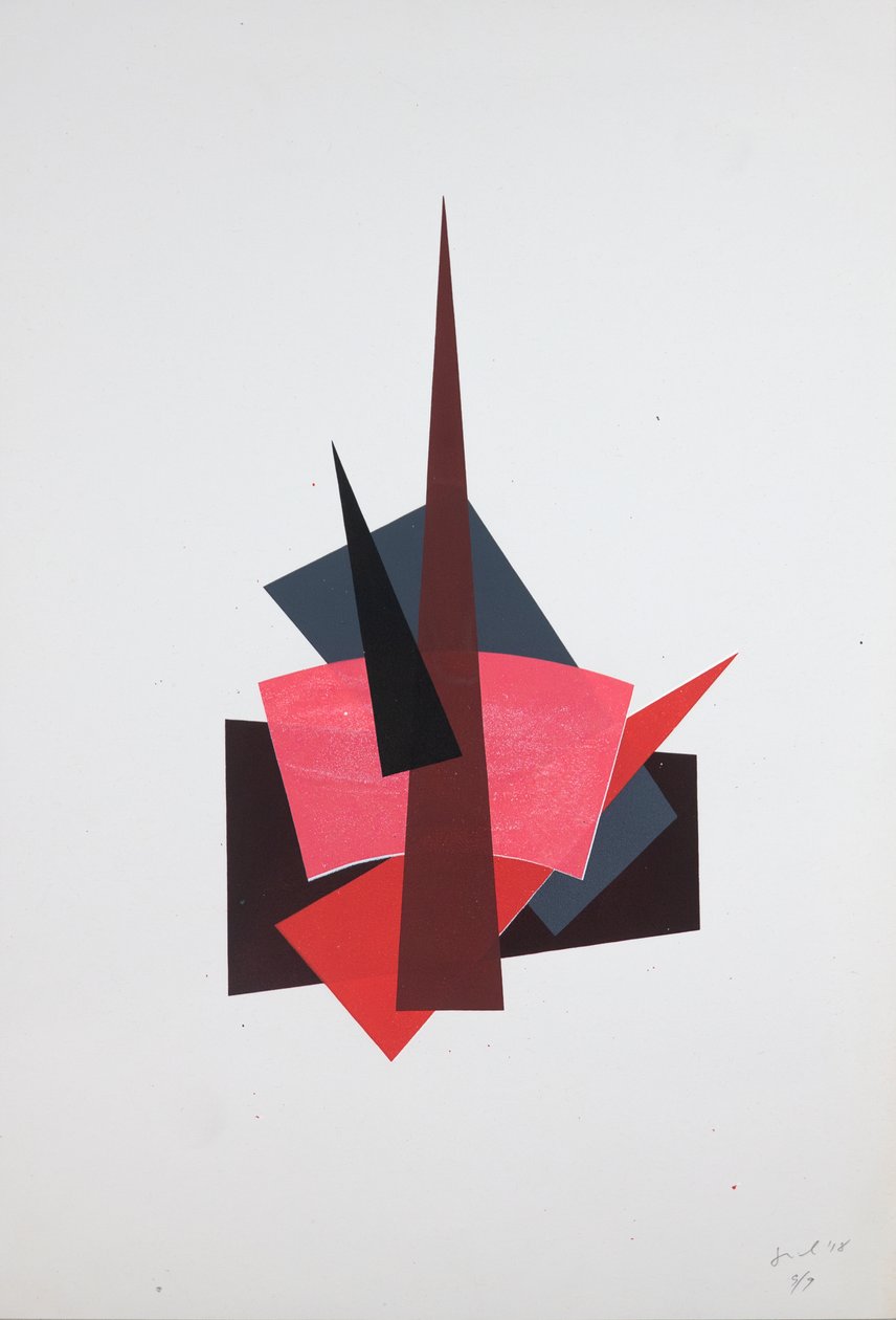 柳博夫·波波娃太空部队，2019（丝网印刷） 作者 吉尔赫姆·庞特斯（Guilherme Pontes）