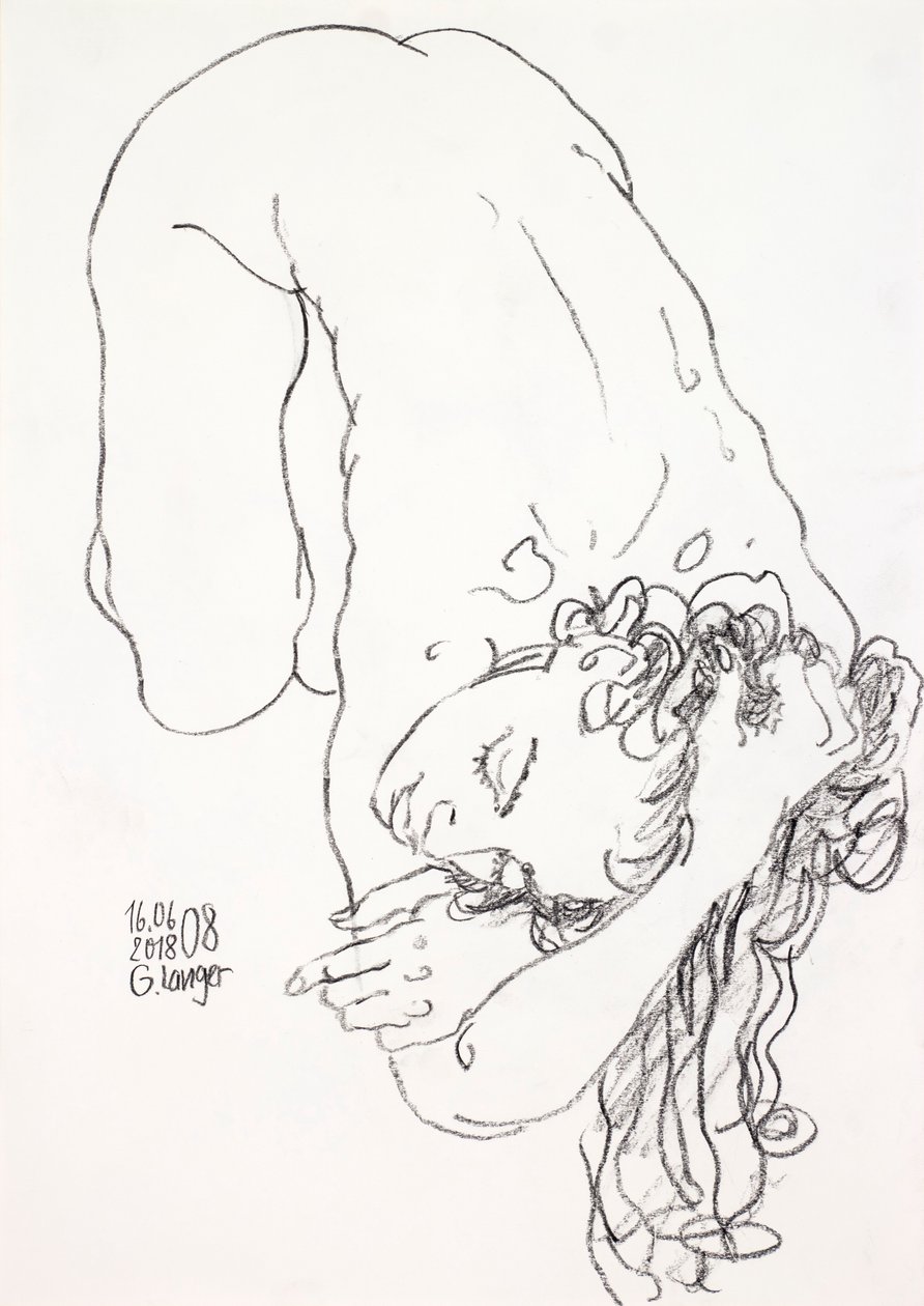 沉浸在梦想中 作者 甘特·兰格