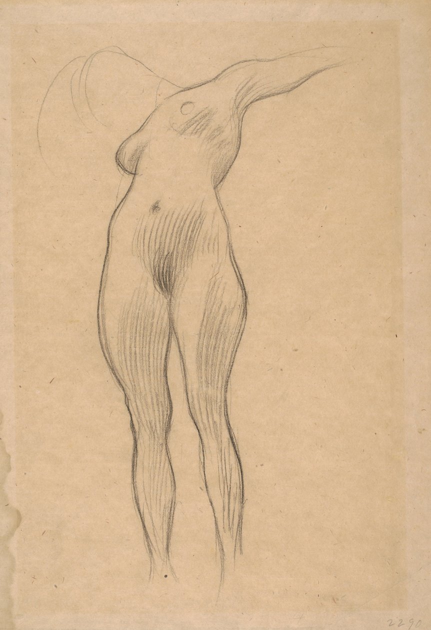 漂浮的女人伸出手臂（医学研究），1900-1901 作者 古斯塔夫·克里姆特