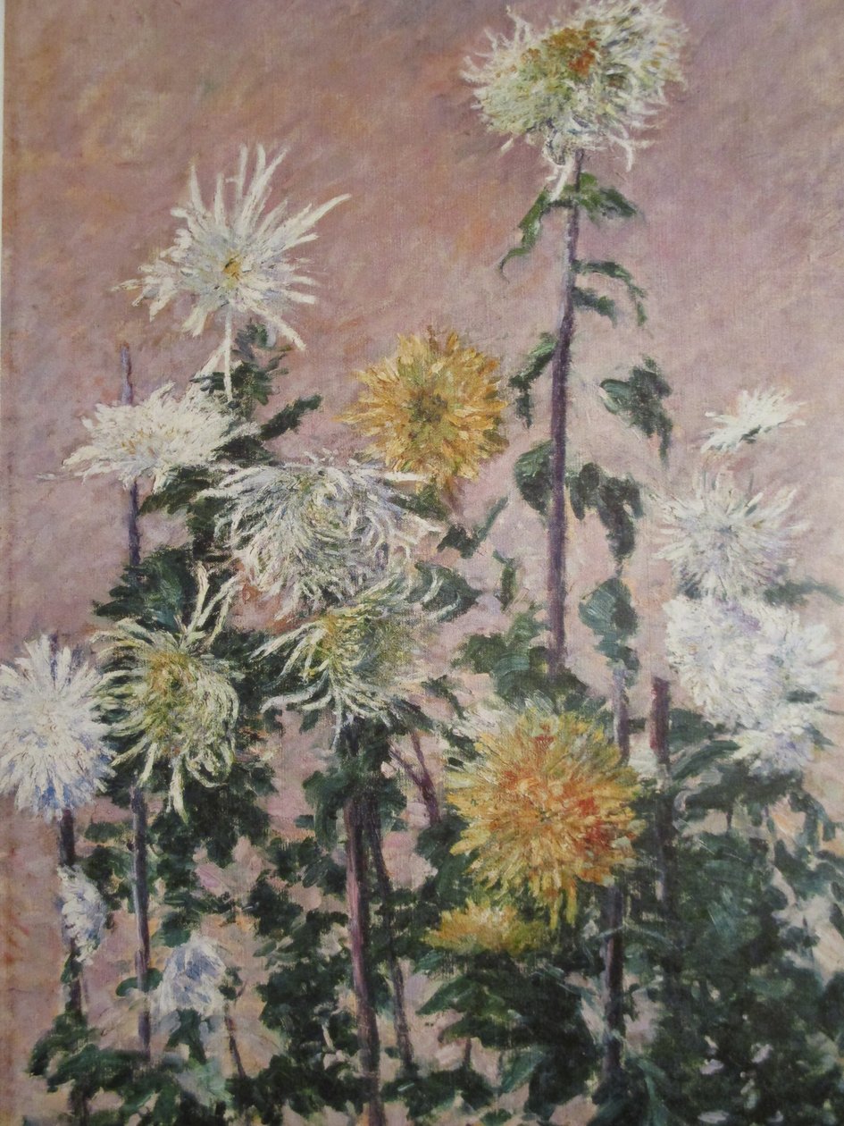 白色和黄色的菊花 作者 古斯塔夫·卡耶博特
