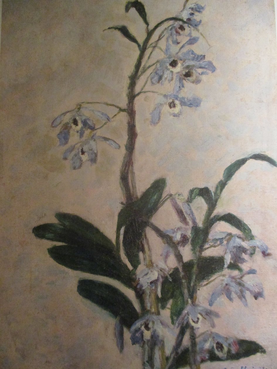兰花 作者 古斯塔夫·卡耶博特