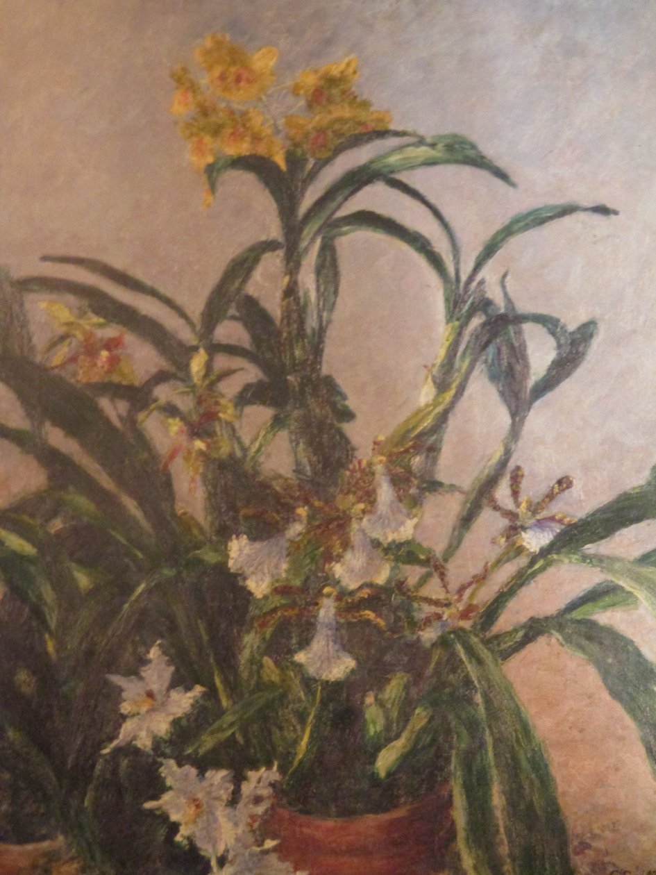 黄色兰花 作者 古斯塔夫·卡耶博特
