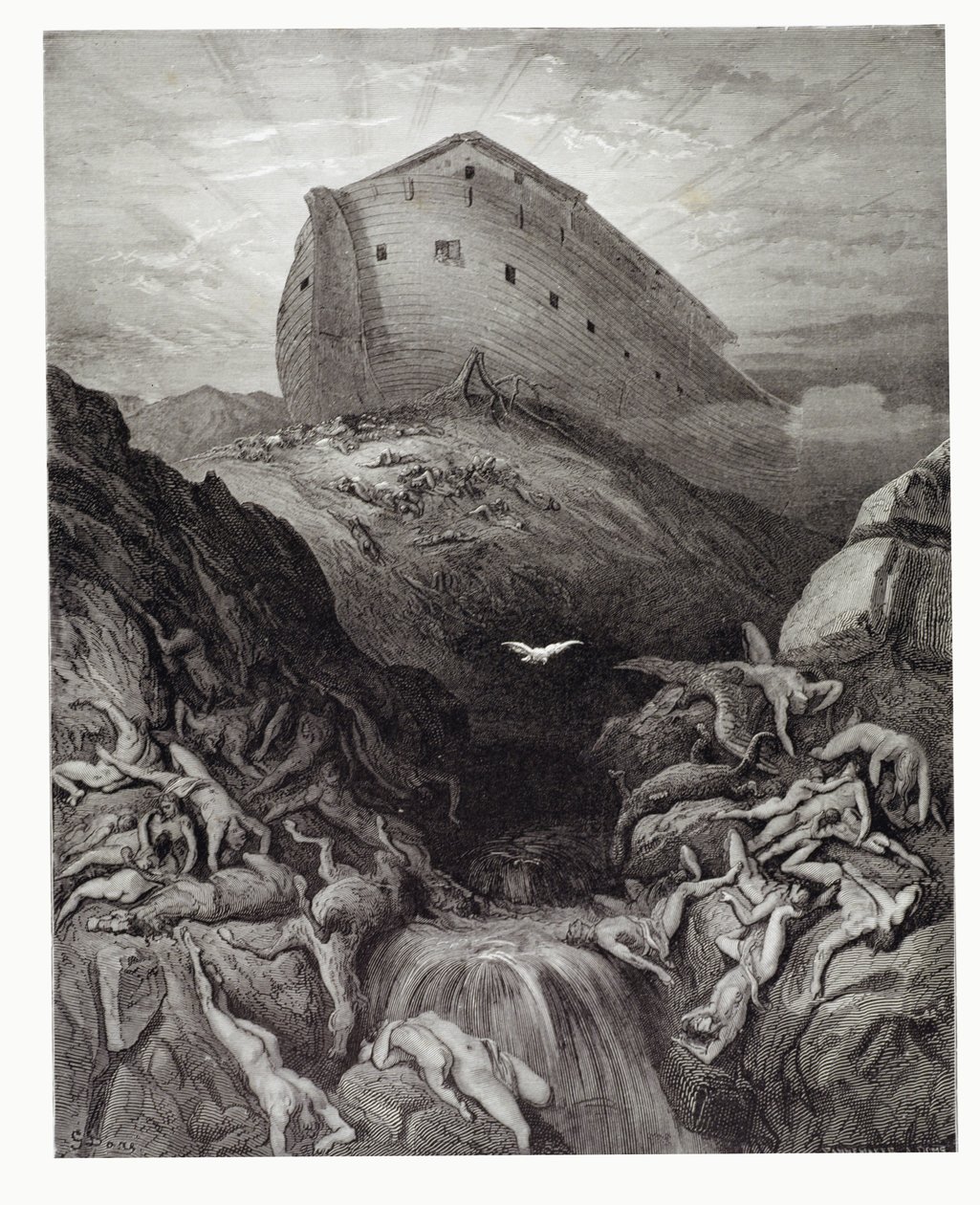 鸽子从方舟发送，由Stephane Pannemaker雕刻（1847-1930）c.1868 作者 古斯塔夫·多尔（Gustave Dore）