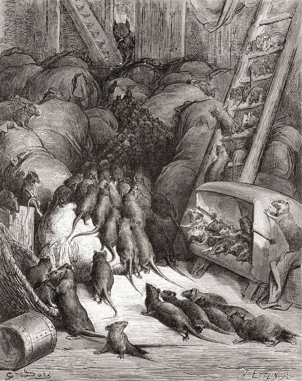 The Rats of the Rats，来自19世纪末版的Fables de La Fontaine（木版画） 作者 古斯塔夫·多尔（Gustave Dore）