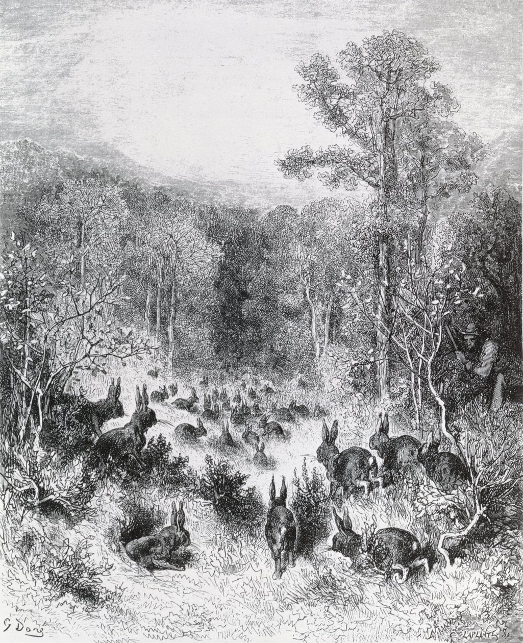 兔子，1868年来自La Fontaine的“寓言”中的插图 作者 古斯塔夫·多尔（Gustave Dore）