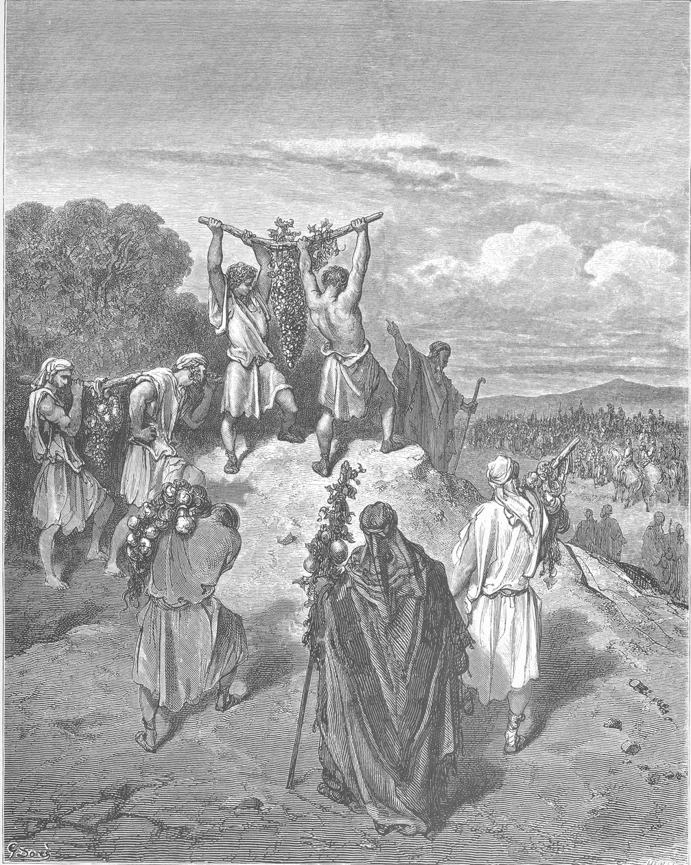 间谍从应许之地回归 作者 古斯塔夫·多尔（Gustave Dore）