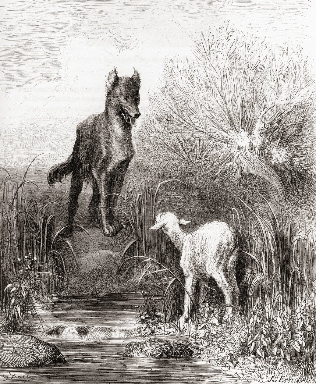 狼与羔羊，来自19世纪晚期版本的Fables de La Fontaine（木版画） 作者 古斯塔夫·多尔（Gustave Dore）