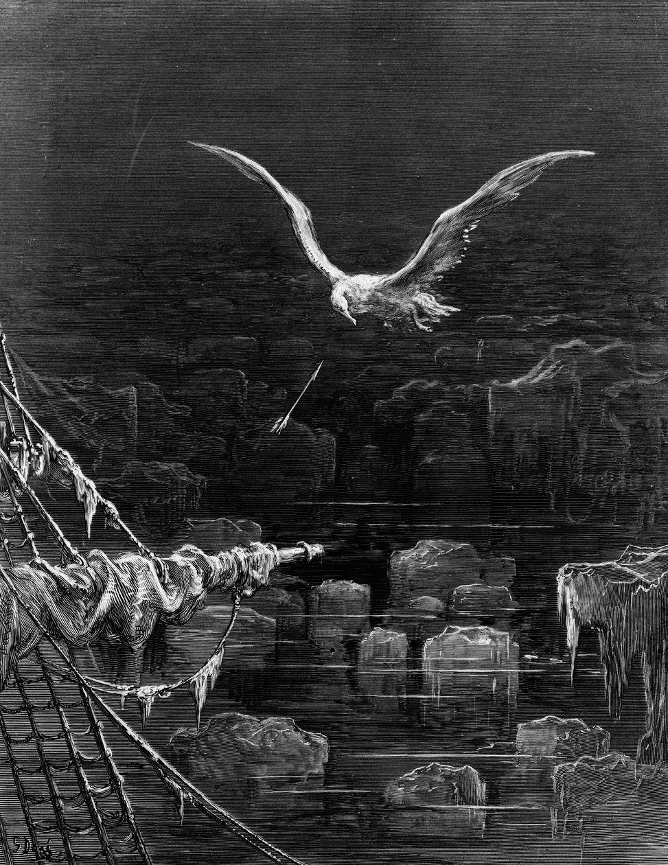 信天翁是由ST Coleridge的“古代水手的Rime”，由ST Coleridge拍摄的，由Harper und Brothers，纽约出版，1876年（木版画）拍摄的信天翁。 作者 古斯塔夫·多尔（Gustave Dore）