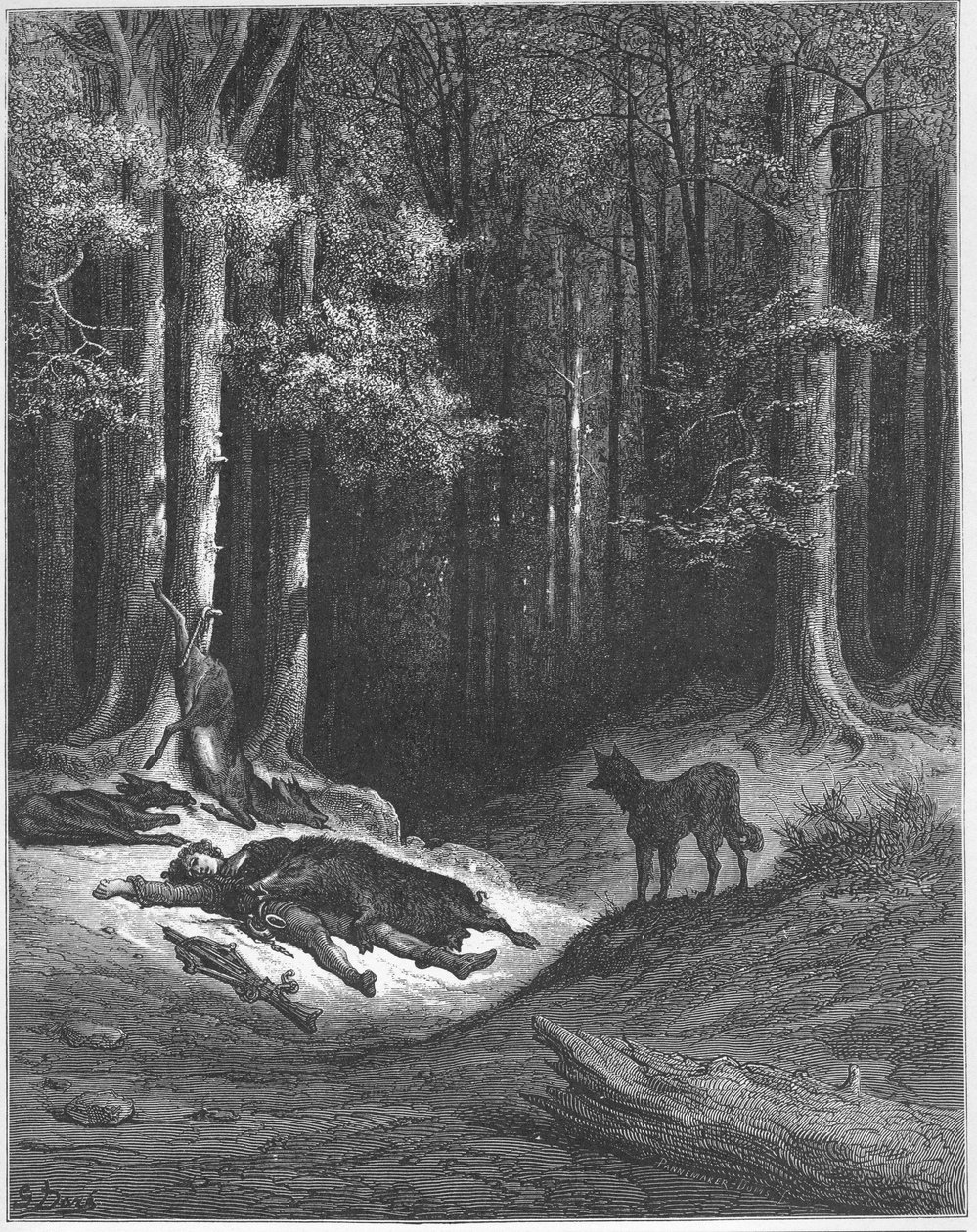 Le loup et le chasseur - 狼和猎人 - 来自Jean de La Fontaine (Lafontaine)(1621-95)的《寓言》--根据Gustave Dore (1832-83)的作品雕刻 - 私人收藏 作者 古斯塔夫（之后）多尔
