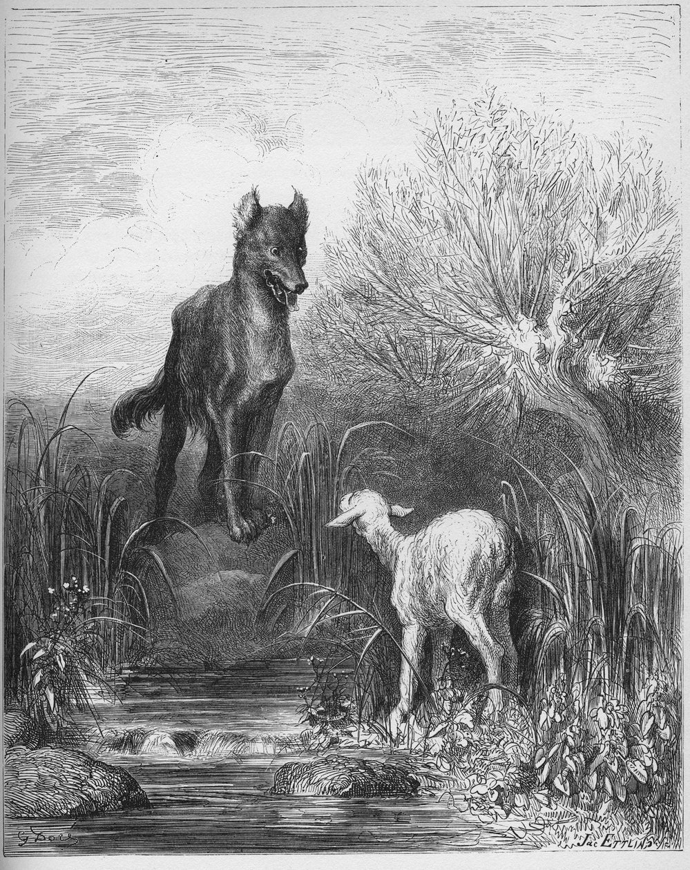 Le loup et l