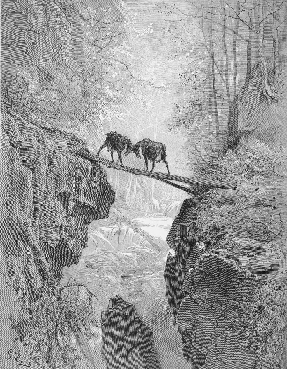 两只山羊，出自拉封丹的《寓言》，由A. Ligny雕刻，约1868年（雕刻）。 作者 古斯塔夫（之后）多尔