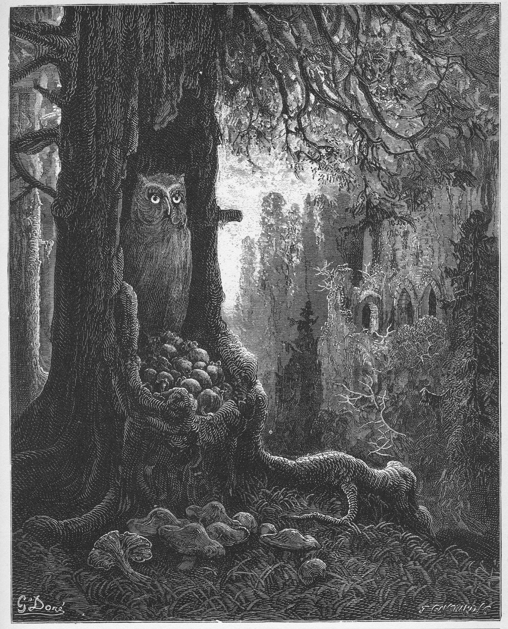 老鼠和猫头鹰--出自让-德-拉方丹（Lafontaine）（1621-95）的《寓言》--根据古斯塔夫-多尔（1832-83）的作品刻制--私人收藏 作者 古斯塔夫（之后）多尔