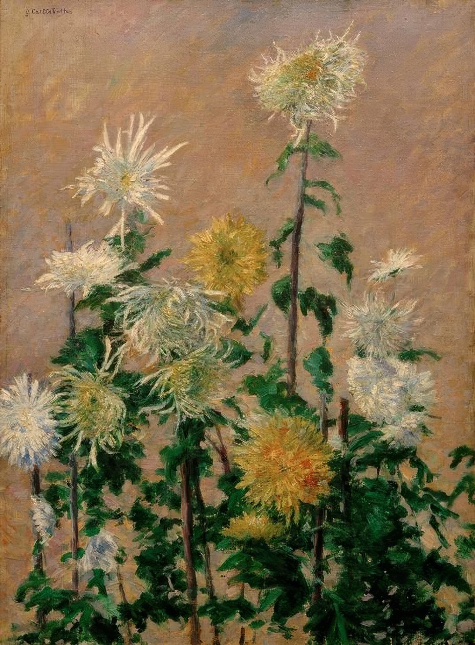 白色和黄色的菊花 作者 古斯塔夫·卡耶博特