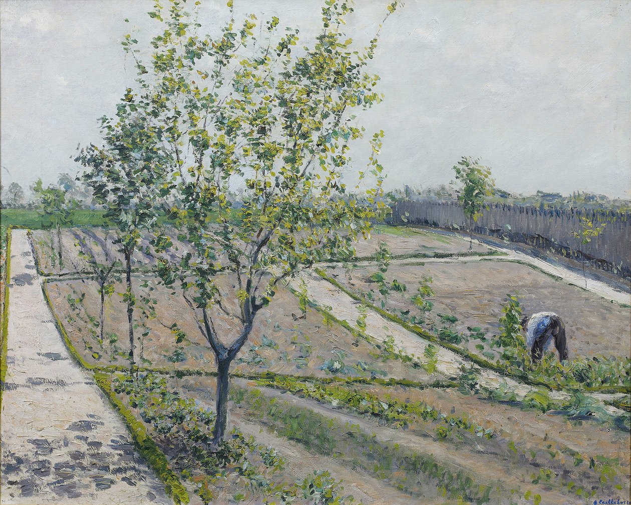 厨房花园，Petit Gennevilliers - Gustave Caillebotte（1848-1894）。布面油画 作者 古斯塔夫·卡耶博特