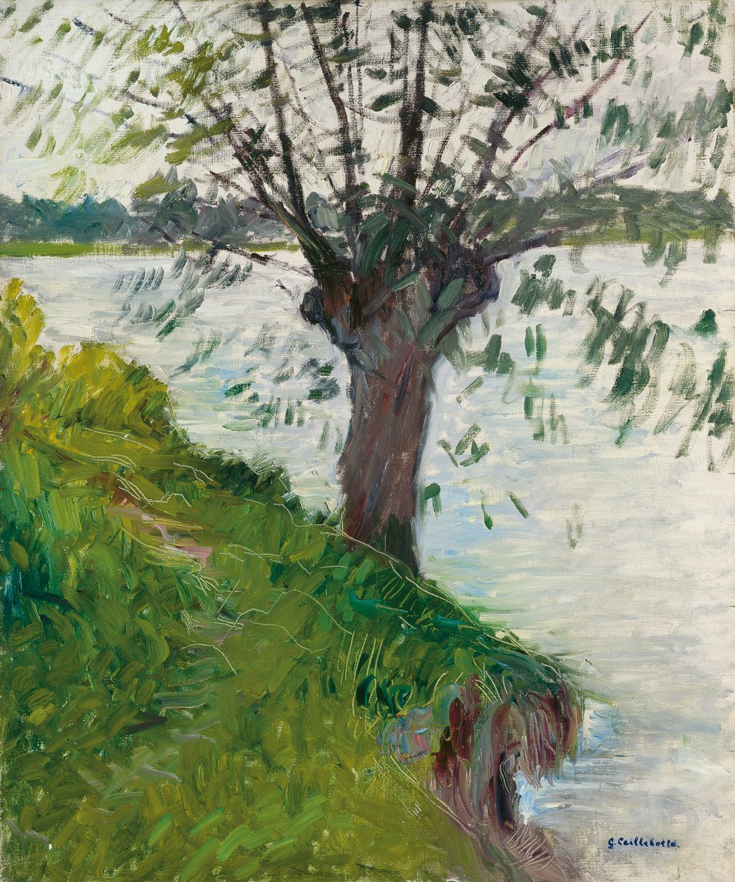 在河边的柳树； Saule au bord de la riviere，角1891年 作者 古斯塔夫·卡耶博特