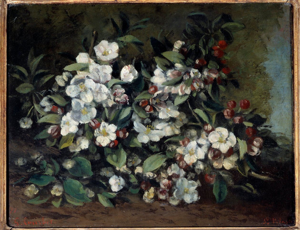 盛开的樱花或苹果枝。 古斯塔夫·库尔贝 (1819-1877) 的绘画 作者 古斯塔夫·库尔贝