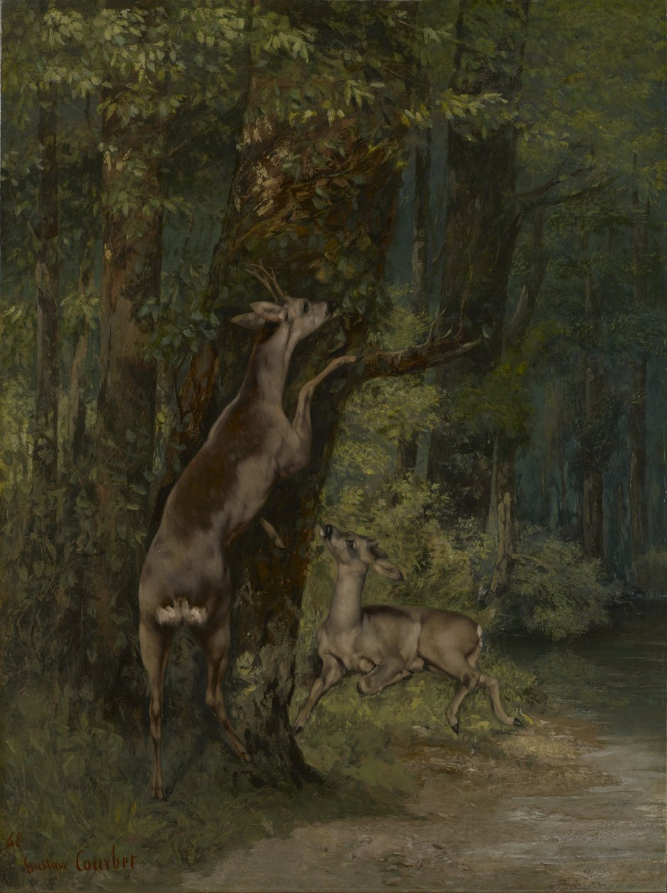 法语: Cerfs dans la forêt 森林中的鹿 作者 古斯塔夫·库尔贝