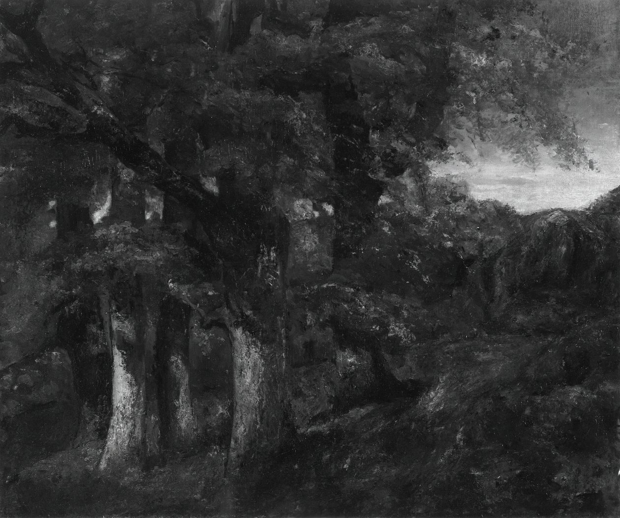 树林景观, 181977. 作者 古斯塔夫·库尔贝