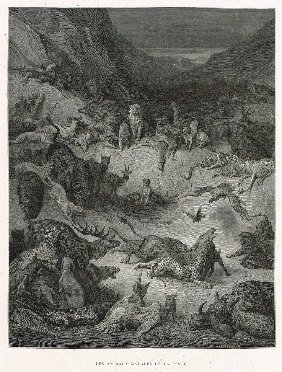 染上瘟疫的动物 作者 古斯塔夫·多尔（Gustave Dore）