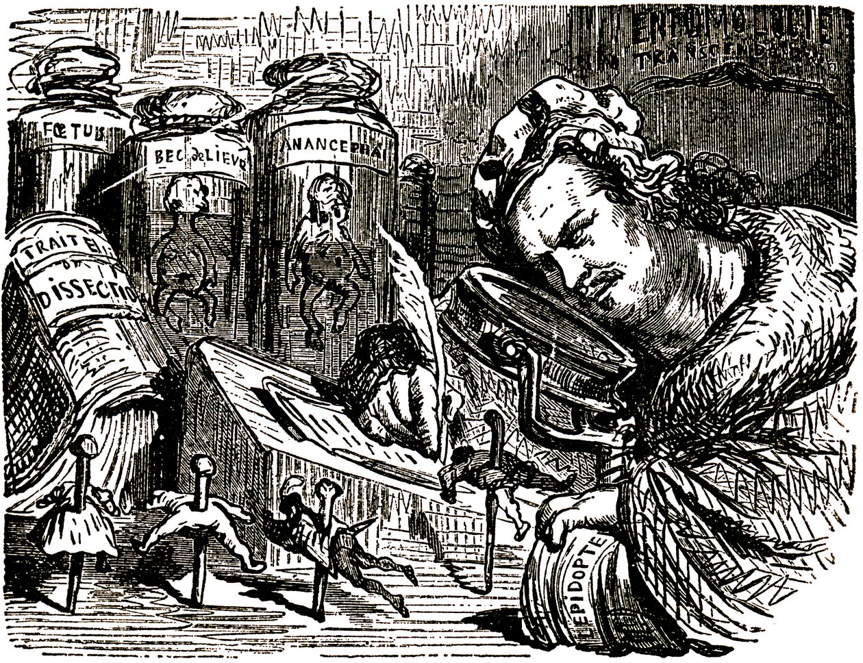 巴尔扎克（Honore de Balzac，1799-1850 年）的漫画，古斯塔夫-多尔（Gustave Dore，1832-1883 年）为 1855 年出版的 Tales Drolatiques 画的：作家被画成一个像昆虫一样研究人类的迷信家，他的橱柜里摆满了迷信和解剖草稿以及装着昆虫的罐子。 作者 古斯塔夫·多尔（Gustave Dore）