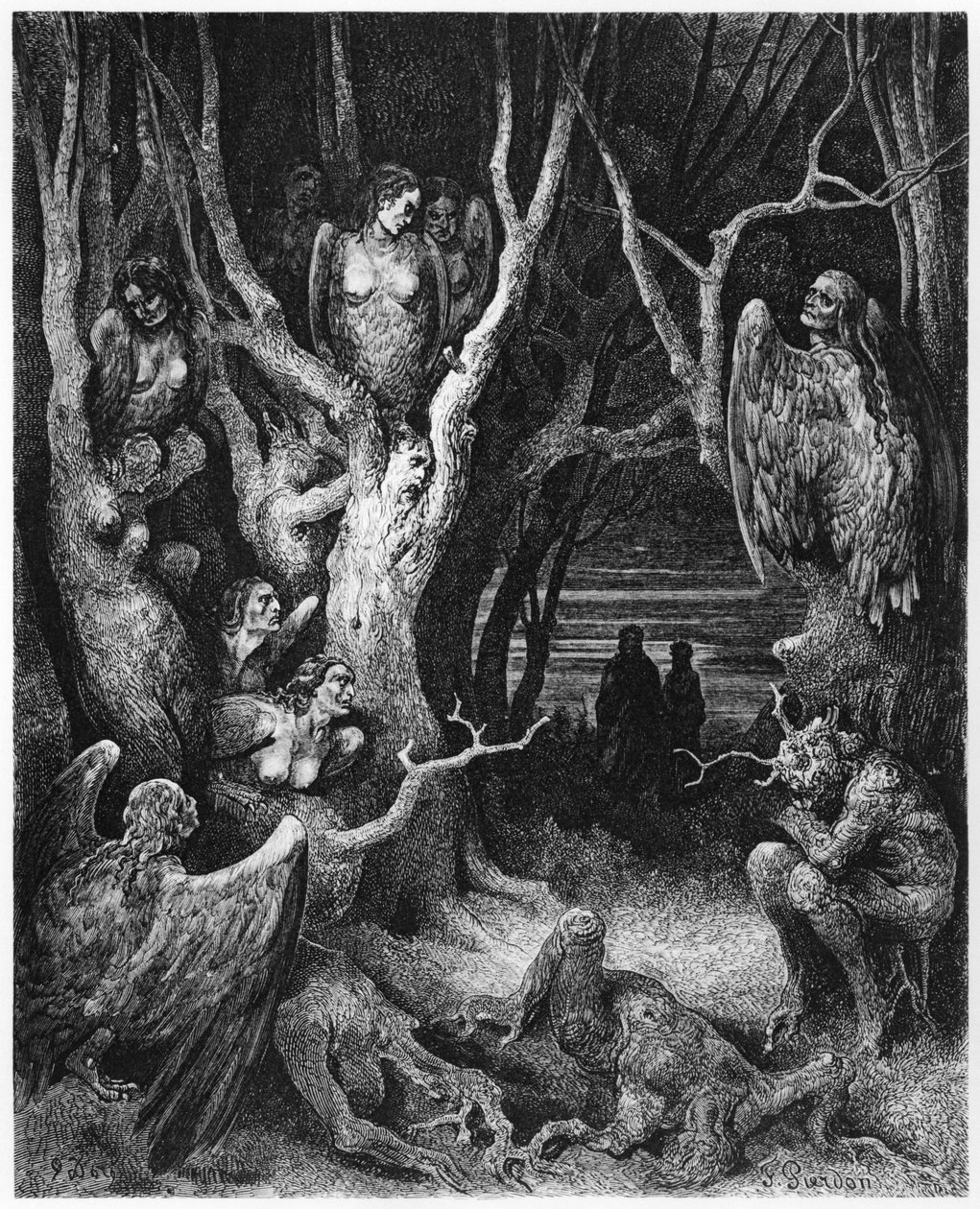 Harpies，来自&39;The Divine Comedy&39;（Inferno）的插图作者：Dante Alighieri（1265-1321）巴黎，1885年出版 作者 古斯塔夫·多尔（Gustave Dore）