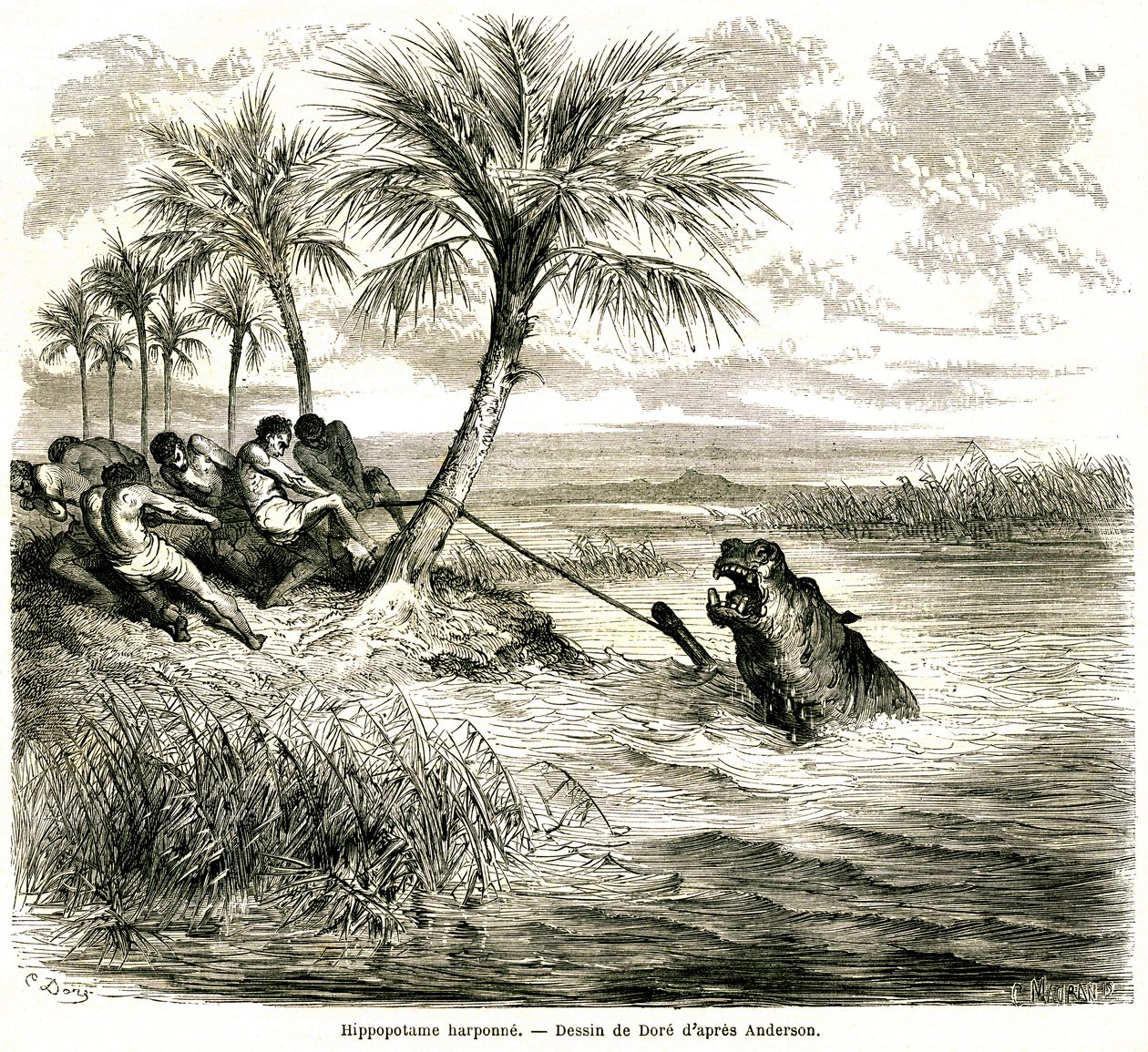 在恩加米河的支流 Teoghe 河上狩猎。河马鱼叉。古斯塔夫-多尔（Gustave Dore）为 "查尔斯-让-安德森（Charles-Jean Anderson）在奥地利非洲的探险和狩猎 "绘制的版画，发表在新期刊《世界之旅》（Le tour du monde）上。 作者 古斯塔夫·多尔（Gustave Dore）