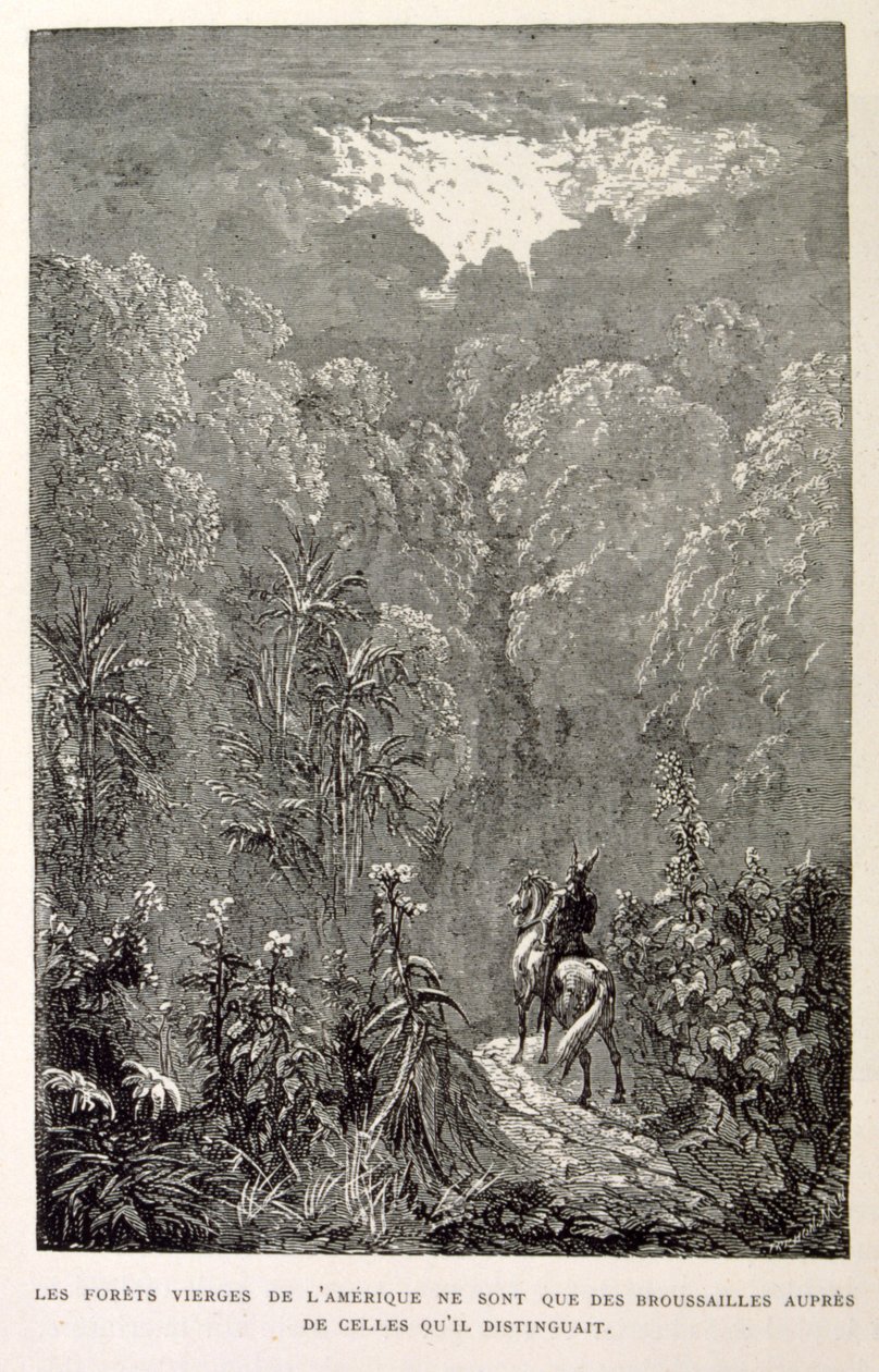 美国森林插图。选自 La legende de Croque-Mitaine。 作者 古斯塔夫·多尔（Gustave Dore）