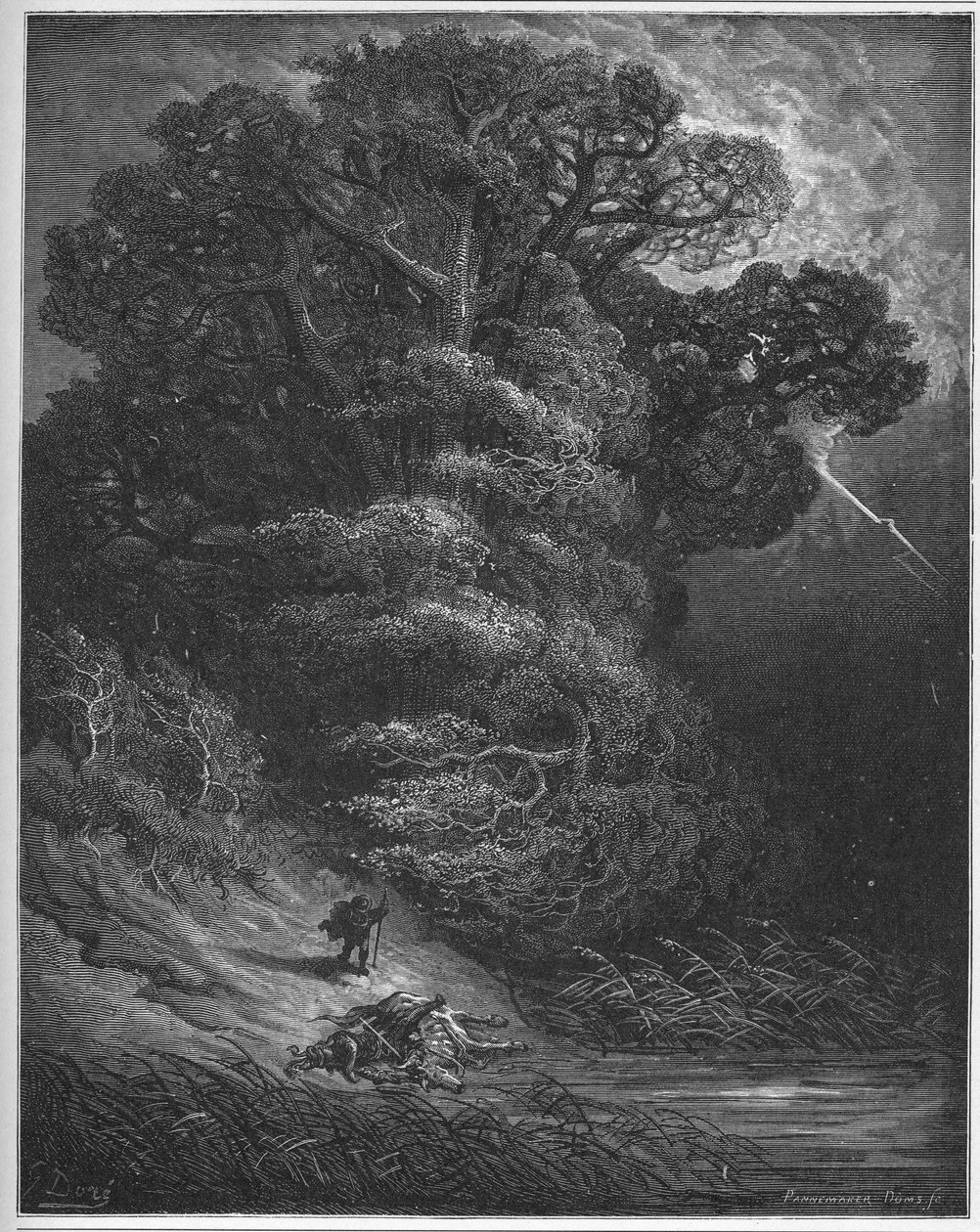 Le chene et le reseau-橡树和芦苇-摘自Jean de La Fontaine的“寓言” 作者 古斯塔夫·多尔（Gustave Dore）