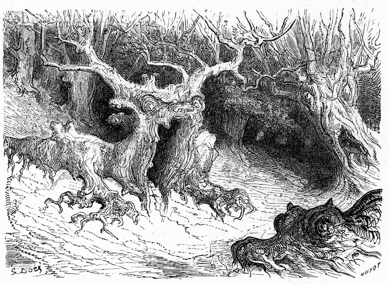 奥索山谷的怪异山毛榉，反形态怪树。古斯塔夫-多尔（Gustave Dore）为 1860 年出版的《希波吕特-泰恩的比利牛斯之旅》（Voyage aux Pyrenees d