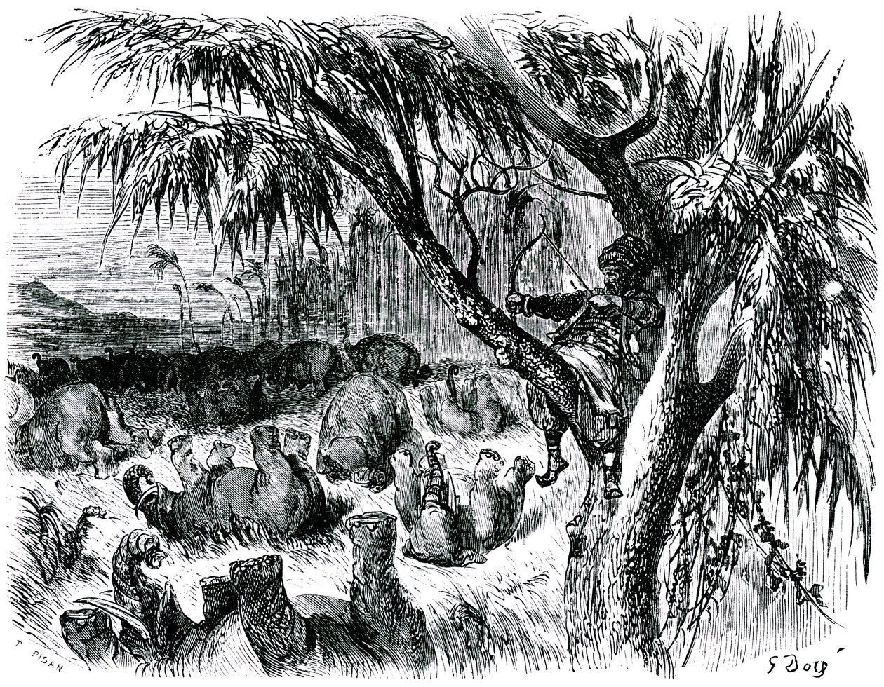水手辛巴达（Sinbad）--一千零一个（1001）夜晚的故事--古斯塔夫-多尔（Gustave Dore）绘制的插图--1865 年马克斯韦尔版--第七次航行：辛巴达，栖息在树上，用船头拉动大象 作者 古斯塔夫·多尔（Gustave Dore）