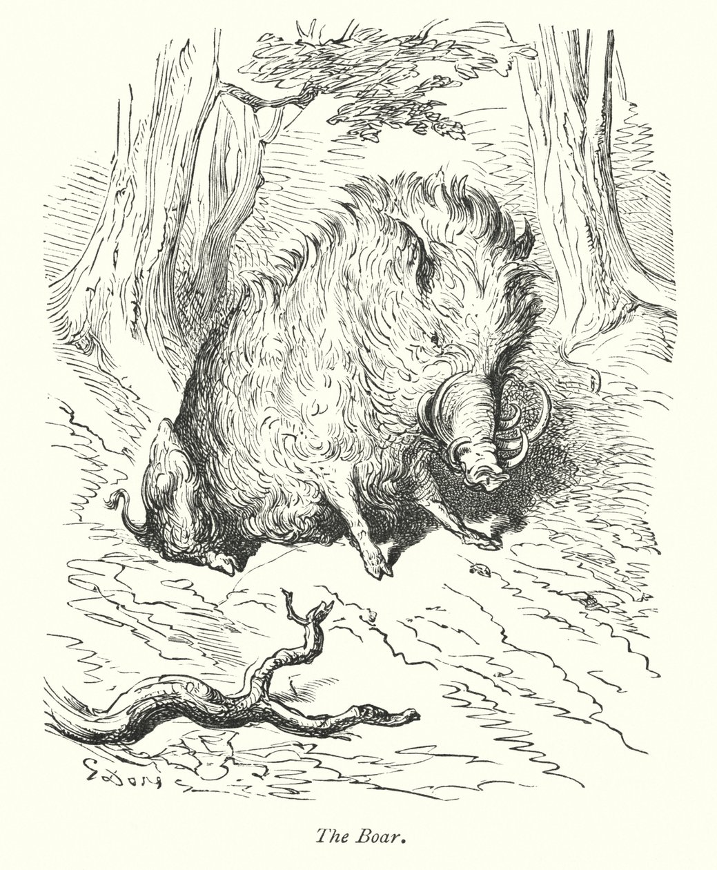 野猪（雕刻） 作者 古斯塔夫·多尔（Gustave Dore）