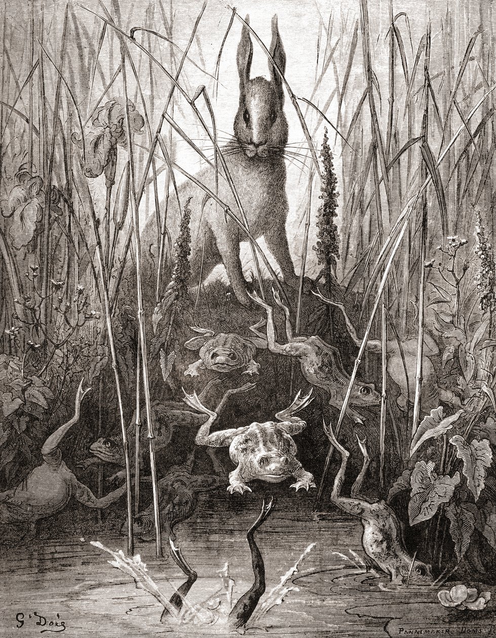 野兔和青蛙，来自19世纪晚期版本的Fables de La Fontaine（木版画） 作者 古斯塔夫·多尔（Gustave Dore）