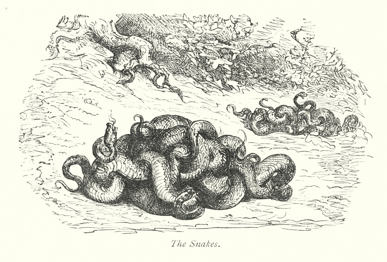 蛇（雕刻） 作者 古斯塔夫·多尔（Gustave Dore）