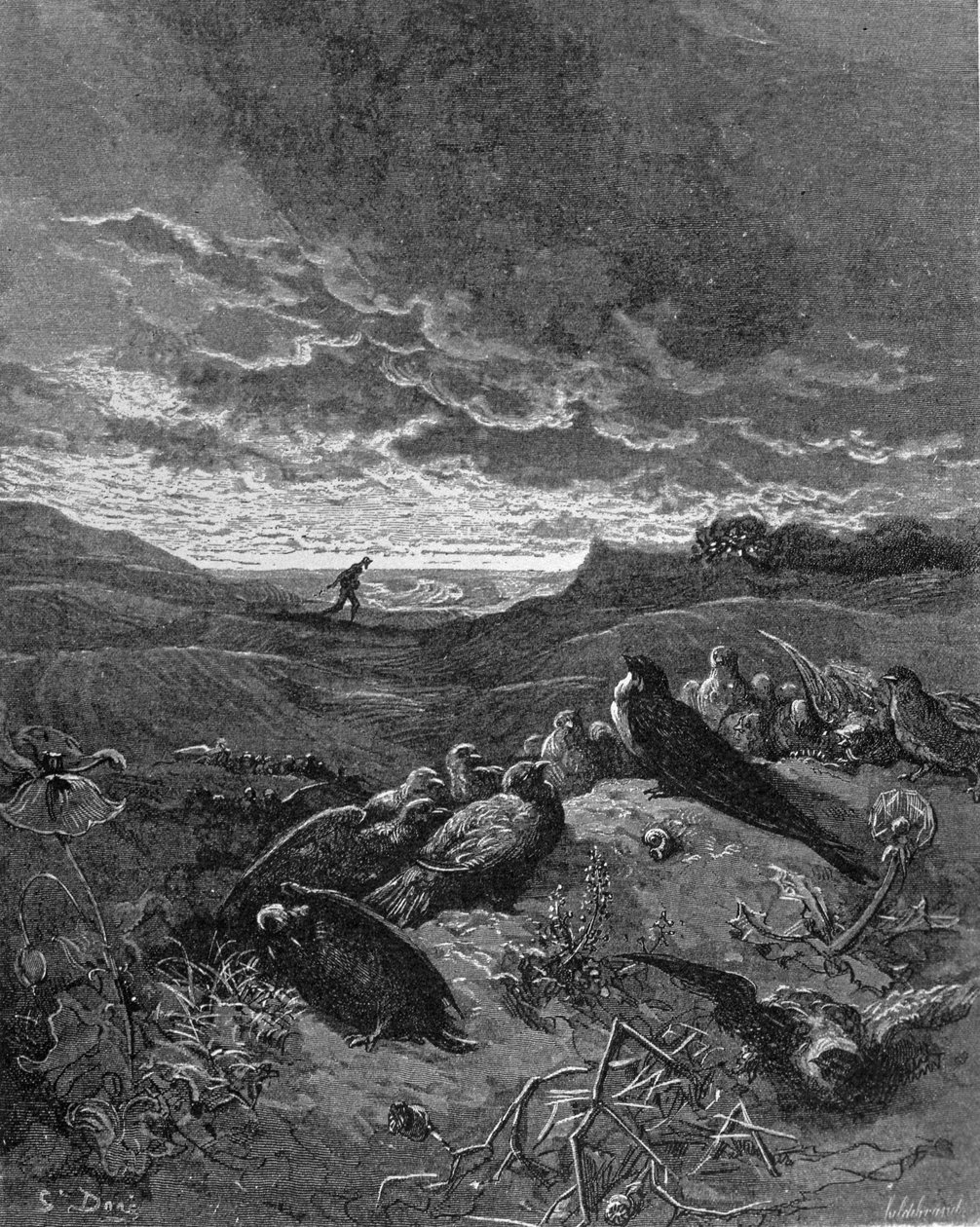 燕子和鸟类，1868年来自La Fontaine的“寓言”中的插图 作者 古斯塔夫·多尔（Gustave Dore）