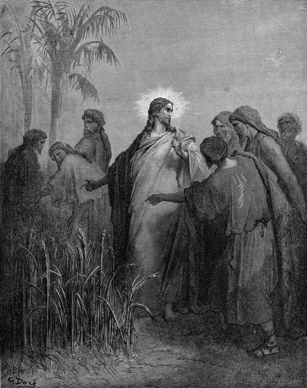 门徒们在安息日采摘玉米 作者 古斯塔夫·多尔（Gustave Dore）