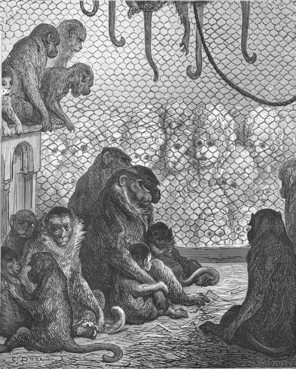 动物园--猴子馆》，1872年。    作者 古斯塔夫·多尔（Gustave Dore）